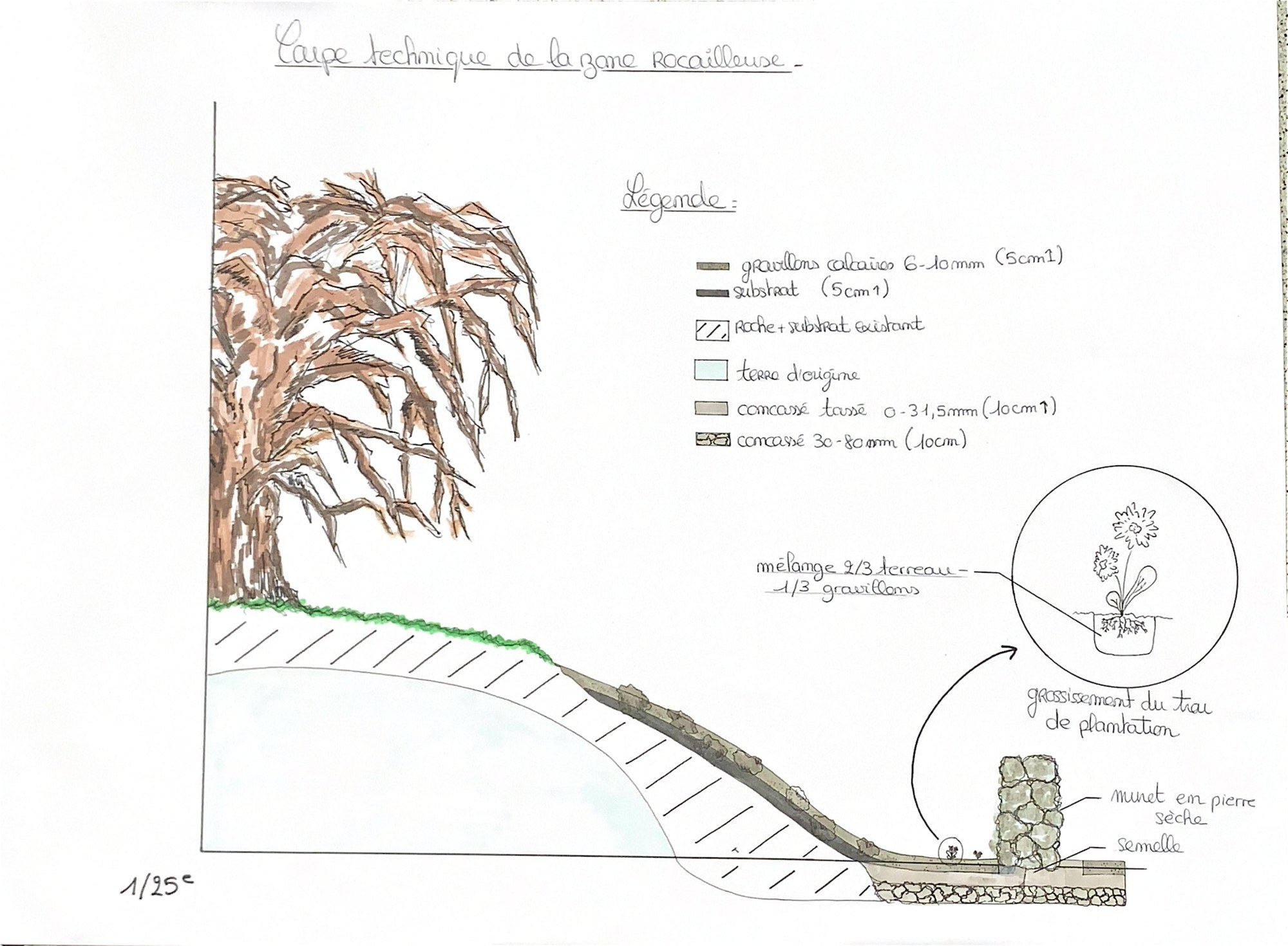 Coupe technique d'une zone rocailleuse