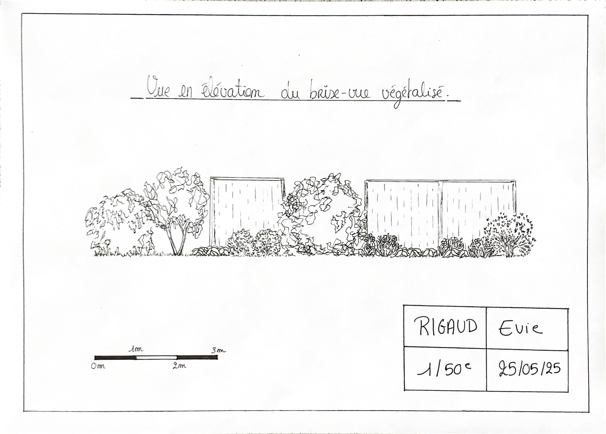 Vue en élévation végétalisée